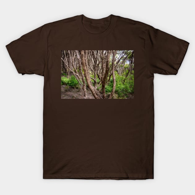 Manuka trees. T-Shirt by sma1050